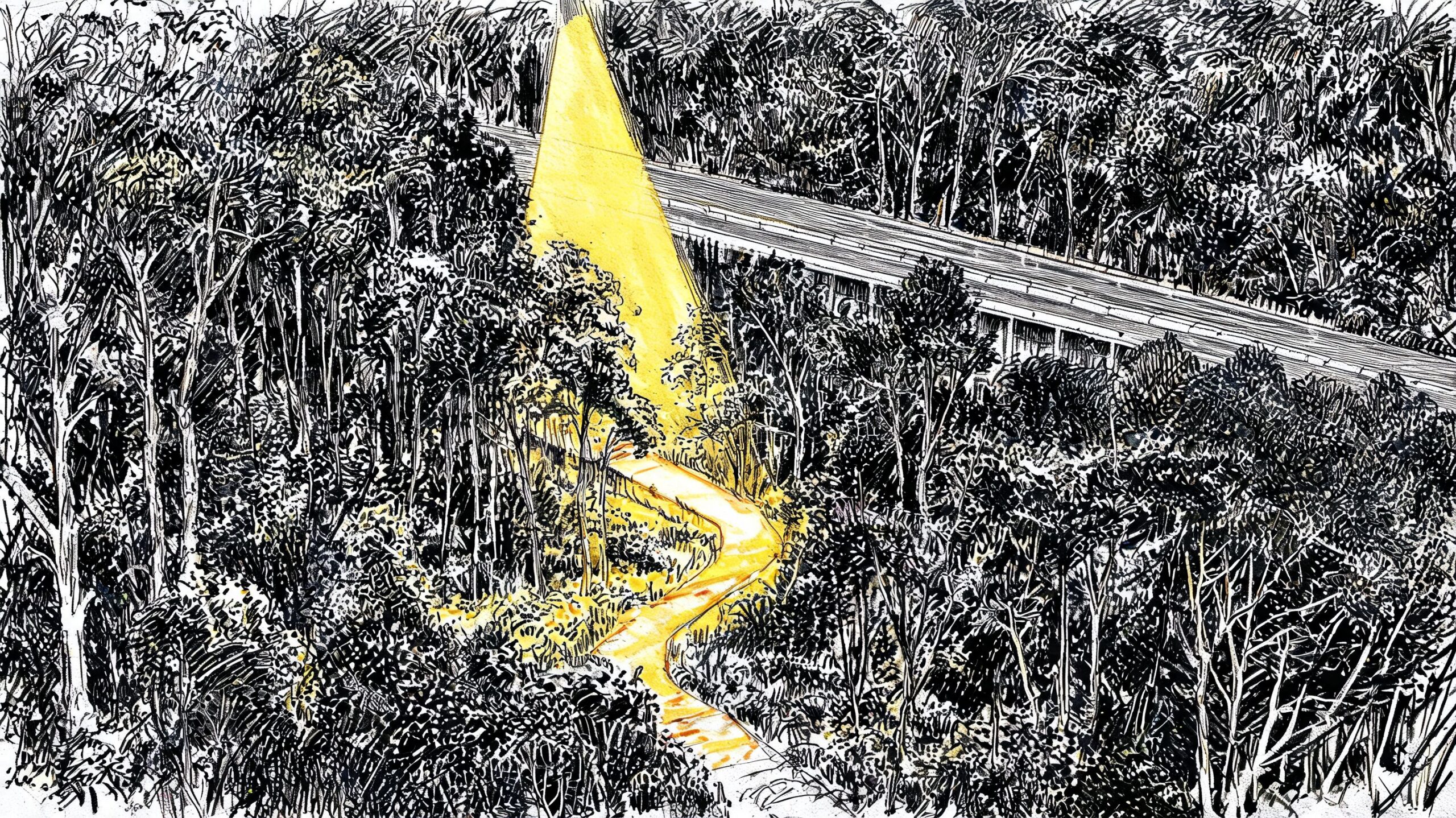 A high angle ink drawing showing a winding yellow path through dense dark forest foliage.